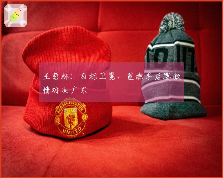 王哲林：目标卫冕，重燃季后赛激情对决广东