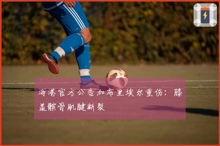 海港官方公告加布里埃尔重伤：膝盖髌骨肌腱断裂
