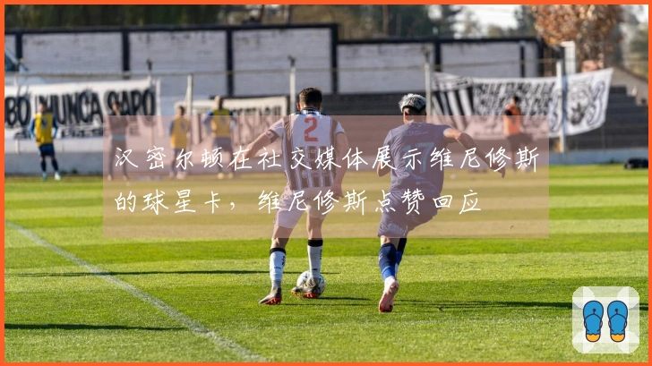汉密尔顿在社交媒体展示维尼修斯的球星卡，维尼修斯点赞回应