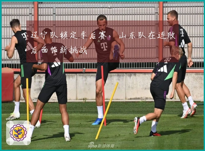 辽宁队锁定季后赛，山东队在连败后面临新挑战